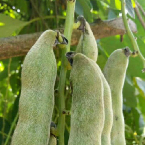 “雪球，雪球，成千上万的雪，你醒来！”我看到一个坐在床边哭泣的蓝色头发上的女孩，床上的女孩没有反应，她的脸异常苍白。我不知道它需要多长时间，床上的女孩略微移动，我没有移动。过了一会儿，我终于努力睁开眼睛，眩光的阳光，我想她非常不舒服，我会闭上眼睛，然后再试一次。她的影子即将看到一个女孩，似乎在哭泣。这个女孩有一个非常熟悉的感觉，但我想不出来，我慢慢地坐了起来，问一个嘶哑的声音：“你好，我可以，为什么我来这里，我怎么能记得？”谁是谁？“这个女孩吞下来说：“你几乎，我是你的女朋友和姐妹，你只能相信人民，你是我的好女朋友和最好的妹妹。兴夏，但我们是非血统的关系。”钱英宇问：“一个妹妹，我的父母？”罗宇的眼泪充满了眼睛：“叔叔在过去的两个月里......”兴夏是平静的，说：“哦，他们死了什么原因是什么？”一个冉的眼泪无法控制它，如线程的虚线轻微下来，吞下：'他们当我抵达手机时，我赶到了日本。结果......结果是在飞机中间的偶然崩溃，我知道你的家是亚洲第二跨国集团，我怀疑我一直在手动递送，我没想到你。该物业已经消失，现在你走了，只有我。 “莹薛问：”谁是第二组？ “”这是我的家，雪球，不在乎，我们从一开始就去韩国，学习，同时寻找凶手？ “一个恳求的音调。Yingxue承诺，因为她必须为她的父母努力学习，这是因为她想要放弃她的生命......