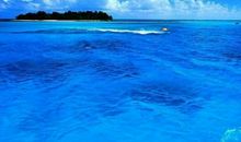 蓝泪之海（第一章）_700字