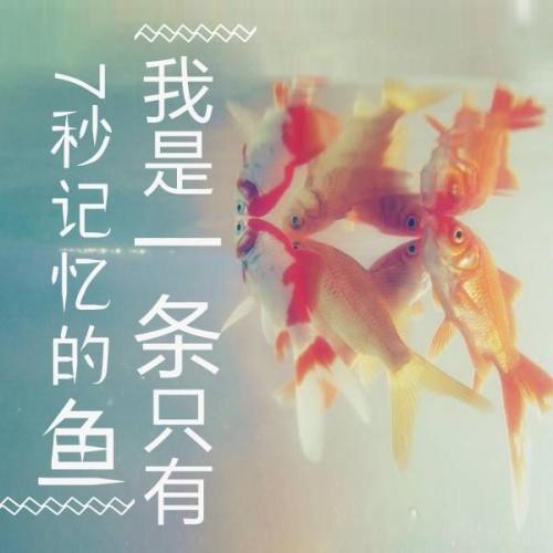 婷婷看着树，大约半个小时后，她没有打算睁开眼睛，好像我看到一个熟悉的人物。