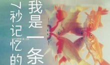 鱼的记忆只有七秒（大结局）_1500字