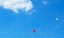 追逐风筝的孩子（第四章）_450字