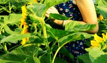 爱，与你同在（第二章）初春的太阳_650字