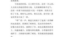 夏天的南湖_300字