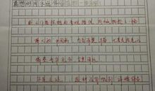 玩得真高兴_650字