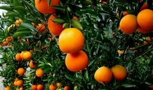 努力“四爱”，争做合格接班人_1200字