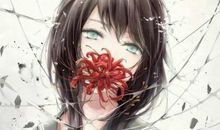 复仇之彼岸血泪_300字