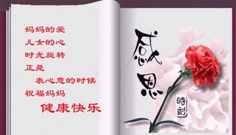 母亲无爱_900字