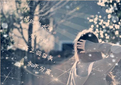 风结束了，竹林，虽然是春天，但秋天的凄凉。穿过致密的灯笼，太阳洒在一个简单而优雅的克莱恩斯，三个印度玻璃的单词由旧的门组成-----------------