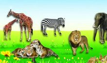 动物园里的感想_300字