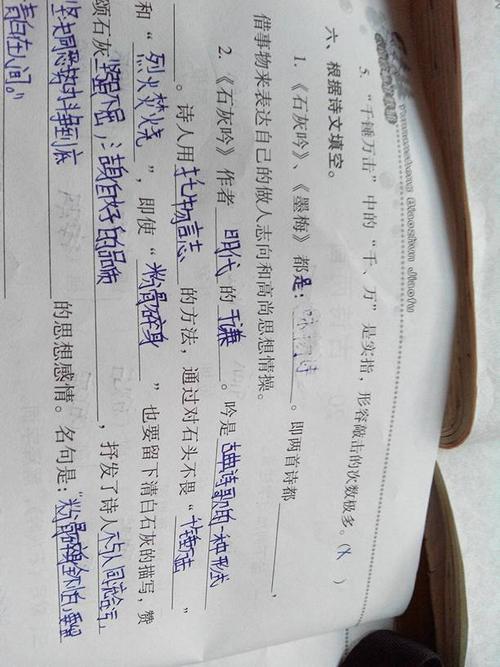 顶部的小诗“伞”_50字