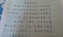 （小说）康贝尔_800字
