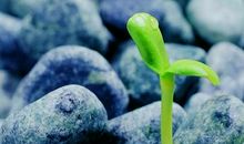 我学会了战胜困难_700字