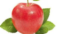 水果之冠——苹果_400字