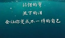 我对生活的哲学_200字