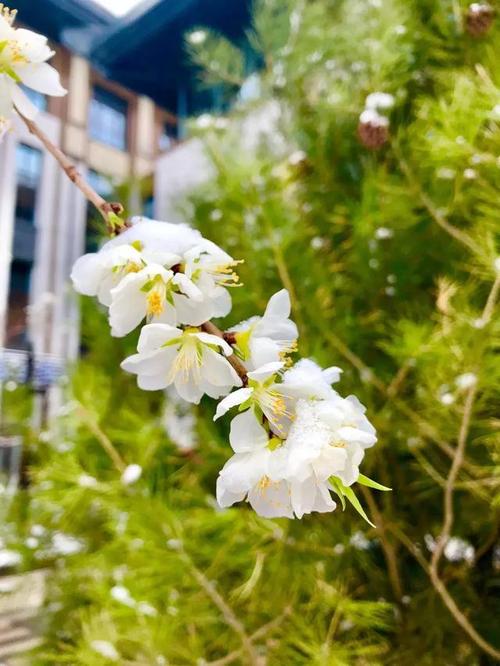 明亮和温暖的3月日光_800字