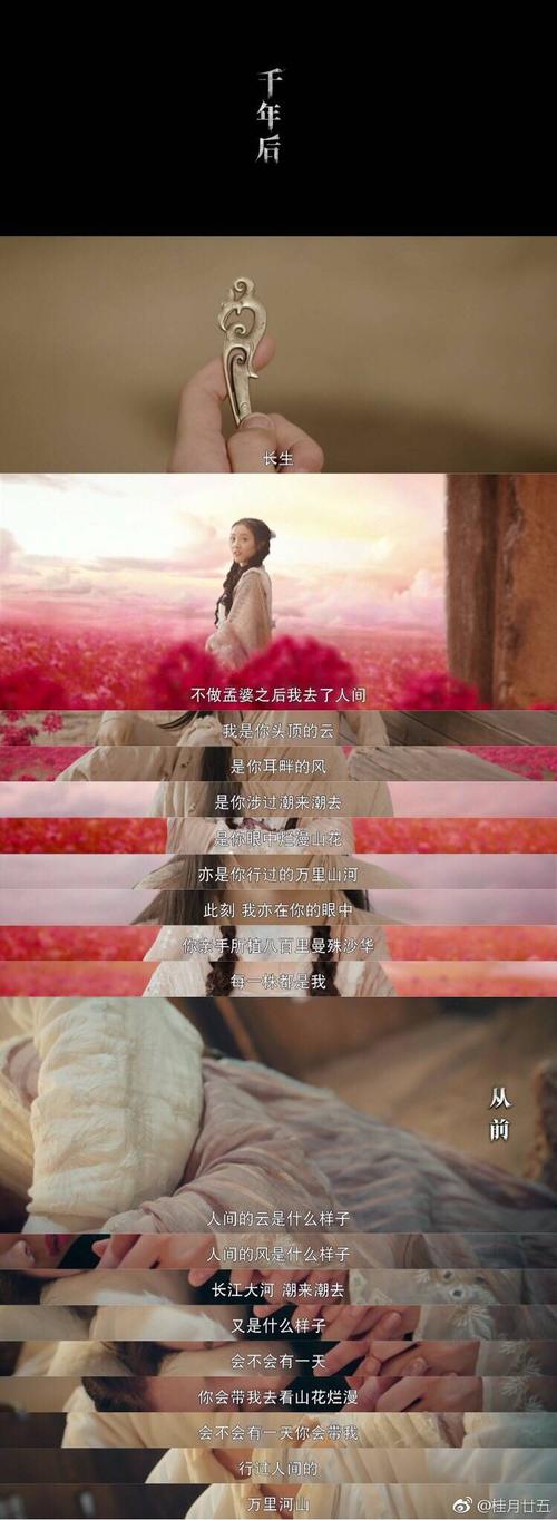 灵魂的重量_750字