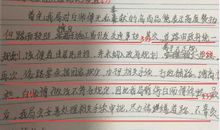 给写作业同学的建议书_450字