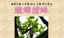 《螳螂捕蝉》读后感_450字