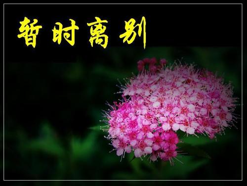 不要说好句子：做朋友_700字