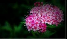 离别好段好句：送别朋友_700字