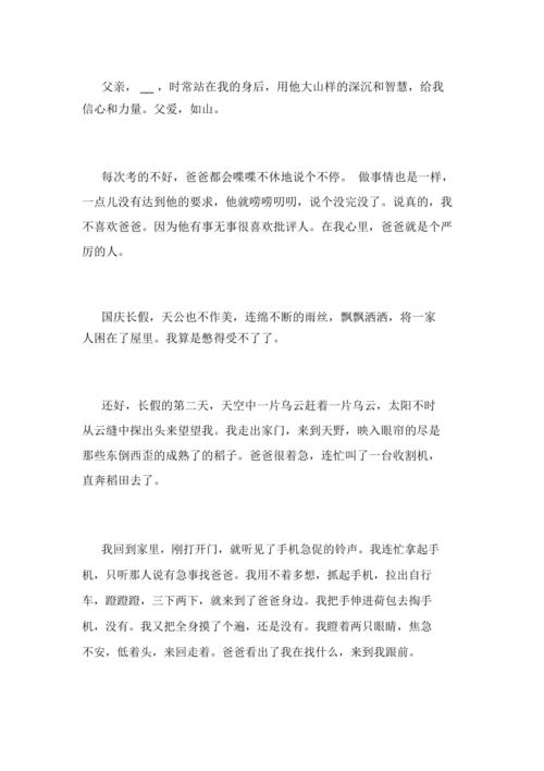 我爸爸（王义万）_600字
