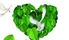 远离战争和平的励志名言【热门篇】_2000字