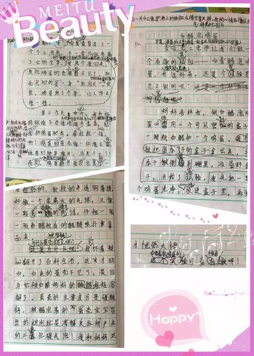 我的好伙伴_700字