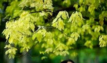 刘芳萍个人简介