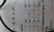 竞选（吴林泽）_450字