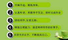 母亲，我懂了_250字