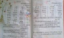 【读书札记】五六岁幼儿应该具备的五种重要的基本技能_1000字