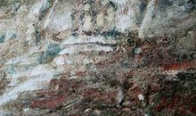 姚晓瑜个人简介