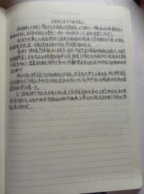 读完_500字后“骆驼祥子”