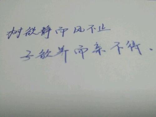 树欲静而风不止，子欲养而亲不在，那是遗憾_2000字