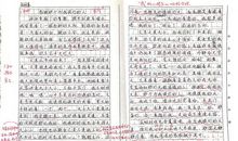 感谢那个为我提灯的人_700字