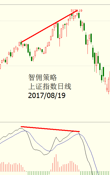 返回bi _700字