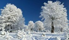 如何使孩子变得不再小气1000字