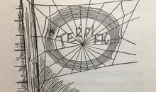 读《夏洛的网》有感_750字