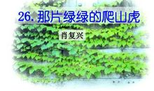 绿绿的爬山虎_800字