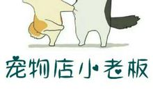 我的小宠物小旺_300字