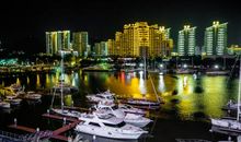 生命的一角_1200字