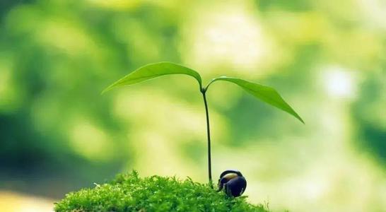 jocks仍然咬你的牙齿。他的上半身是不可能由上官明的组成，这次，上官明浩会搬到国王的可能性，想要解决他的腰带，但发现君是早上抓住裤子，上轩明郝知道国王有点不可接受，但他真的不禁去，只是在早上挑选僧侣，但迅速烧毁自己。他拉了两次，但君早上陷入了死亡。