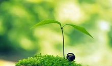 吸血鬼的男宠（十一）_900字