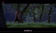 勇敢的心_3000字