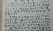 长须鲸的自述_500字