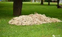 他说回忆时_2000字