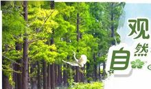 知师敬师乃爱师也_900字