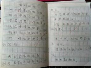五年级组成：改变座位_250字