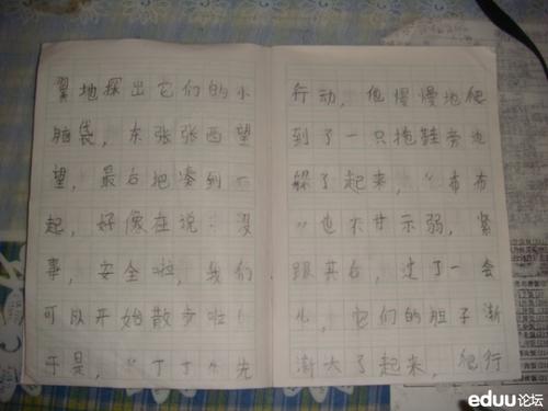 一年级组成：我的家人的小乌龟_200字