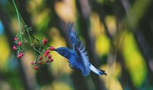 夜来风雨声_1500字
